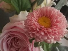 -火车头法国西餐厅