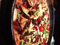 -老板恋上鱼(高新万达店)