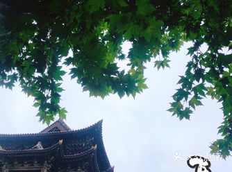 带着麻麻去旅行️｜南楼北塔，中华第一️木楼