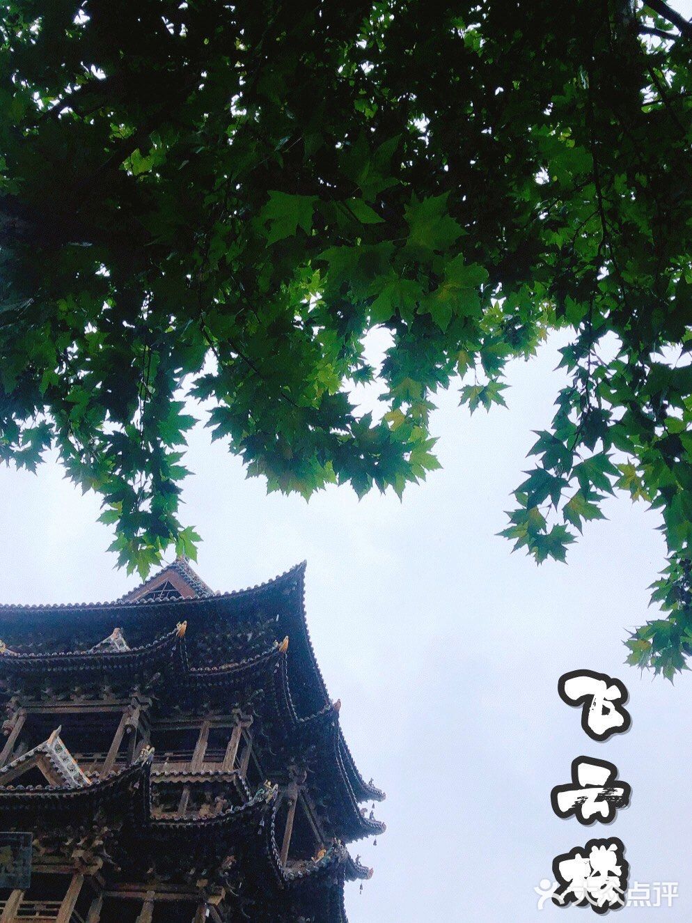 带着麻麻去旅行✈️｜南楼北塔，中华第一☝️木楼[胜利]