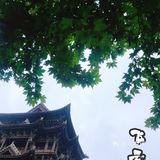 带着麻麻去旅行✈️｜南楼北塔，中华第一☝️木楼[胜利]