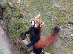 -西安秦岭野生动物园