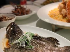 清蒸石斑鱼-鱼乐轩·俄罗斯海鲜直供餐厅(群力店)