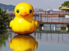 -东钱湖旅游度假区