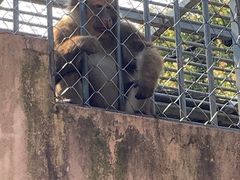 -宁波野生动物园