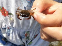 -神农溪纤夫文化旅游区