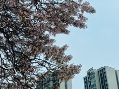 -成都市活水公园