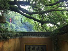 -普陀山慧济禅寺