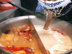 台式麻辣花胶鸡鸳鸯锅-湊湊火锅·茶憩(世博大道店)