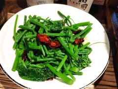炝炒丝瓜尖-树厨贵州菜(大十字店)