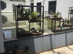 -稍可轩博物馆餐厅