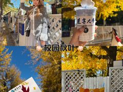 -辽宁大学(崇山校区)