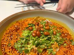 -辛香汇·锦里丨现炒川菜(中南城店)