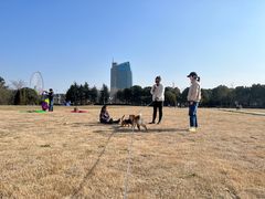 -山明水秀大饭店