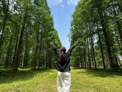 -黄海国家森林公园