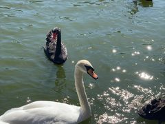 -杭州野生动物世界