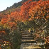 休息区，完全不用担心爬不上去