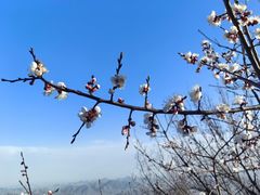 -狼牙山风景区