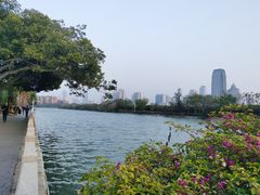 -白鹭洲公园