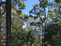 -广州市帽峰山景区