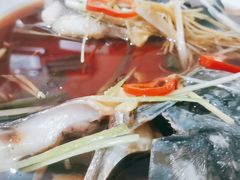 -煲来饱去冷水鱼