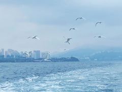 -东平洲海岸公园
