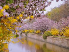 -海棠花溪(元大都城垣遗址公园)