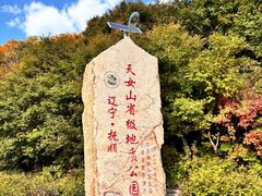 -天女山森林公园