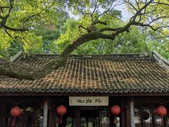 -上海醉白池公园