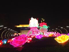 入门到步大景点-映月湖公园