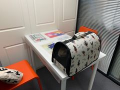 -伟伟宠物医院·CT影像中心·瑞派犬猫综合性门诊(汉口总院)