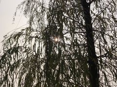 -两河城市森林公园