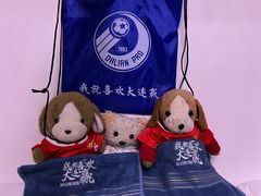 -大连普湾体育场