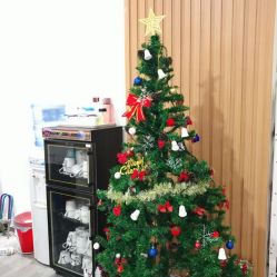 -榕树上·瑜伽普拉提