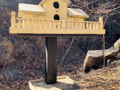 -云峰山自然风景区