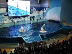 -福州罗源湾海洋世界旅游区