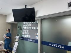 -申普宠物医院(总院)