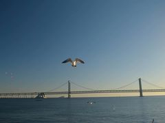 -星海湾跨海大桥