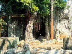 -灵玲国际马戏城