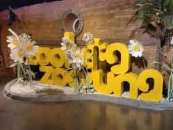 -Zoolung Zoolung动物主题公园(海信广场店)