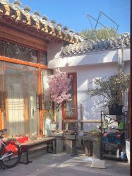 -Nora阿育吠陀·瑜伽·整体疗愈苑