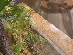 -大头椰·椰子鸡火锅(南宁万象城店)