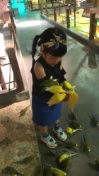 点击看大图 -酷嗒动物文化乐园(cutezoo西溪乐天城店)