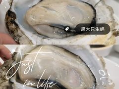 炭烧生蚝-渔文乐·海鲜大排档(千灯湖店)