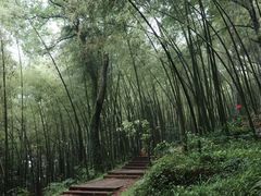 -西湖风景区十里琅珰-五云山