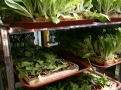 -蔼若春.传承三十年云南菜(金碧公园店)