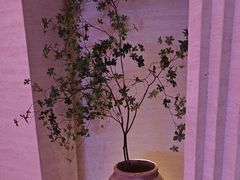 -舒小悦·舒养SPA·古法推拿(光环中心店)