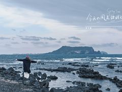 -涉地可支