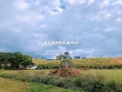 -棋盘山风景区