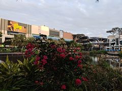 -观澜湖新城运动奥莱区